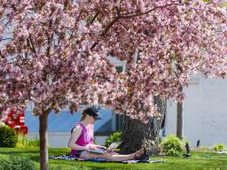 Huskers Kelsey Eihausen (left) and Molly Sambol study under blooming trees outside the Phi Mu sorority during the spring 2020 semester. The university is adjusting the spring academic calendar. It opens Jan. 25 and includes a three-week session from Jan. 
