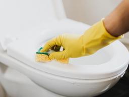 Disinfecting toilets, faucets, and handles after each use can help slow the spread of germs between people living together.