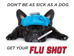 Free flu shots are now available at the University Health Center.