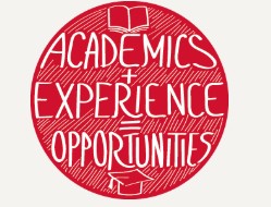 Academics and Experience Button