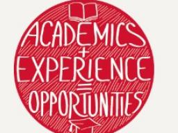 Academics and Experience Button