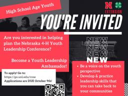 4-H Youth Leadership Ambassador link.jpg