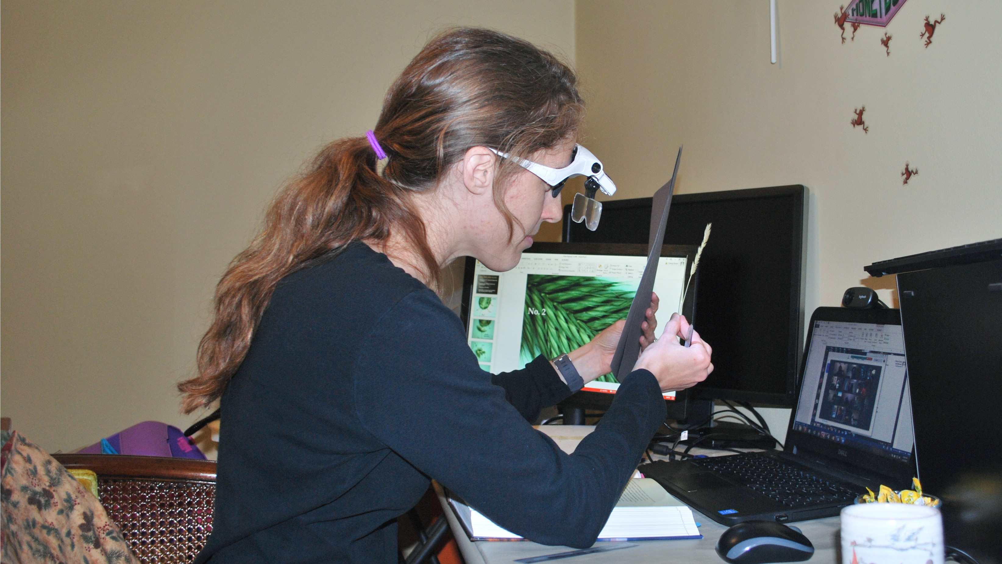 Cheryl Dunn explains the structures of crested wheatgrass to her Wildland Plants students during class on Zoom.  | Photo courtesy of Shaun Dunn