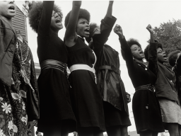 https://nmaahc.si.edu/explore/stories/collection/seeing-black-women-power