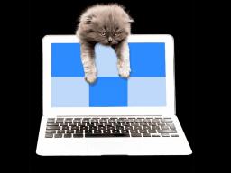 Grumpy cat hung over the top of a laptop.