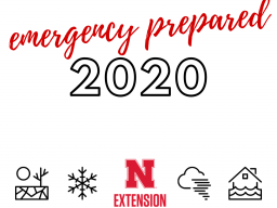 2020 emergency prepared graphic