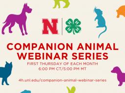 Companion-Animal-Webinar-Series.jpg