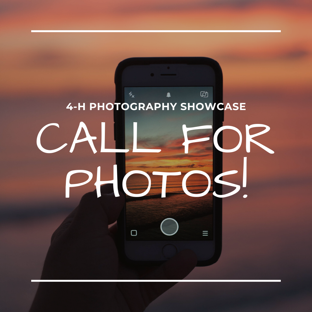 4-H Photography Showcase _4_.png