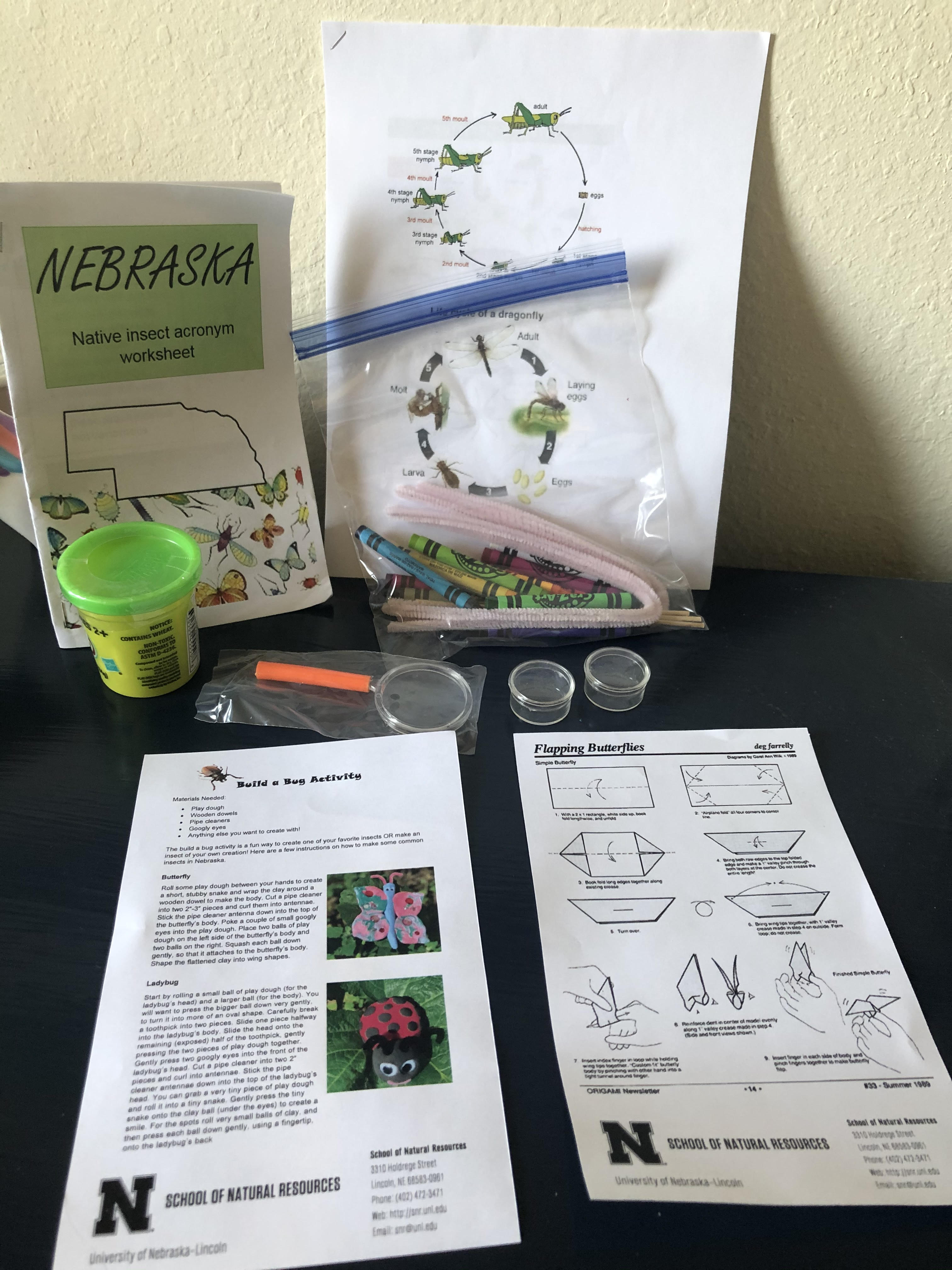 Environmental Education and Interpretation students Ann Spilker and Taryn Hohenbary created a set of STEAM Sacks for fourth through sixth grade students that feature activities centered around Nebraska’s native insects. Courtesy photo