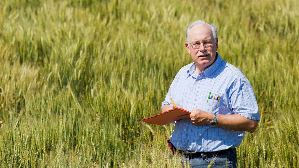 Nebraska’s P. Stephen Baenziger has developed wheat varieties that are used on more than 50% of Nebraska’s wheat acres. Craig Chandler | University Communication