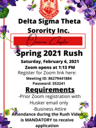 Rush Flyer and Information