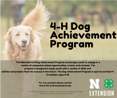 DogAchievementProgram.png