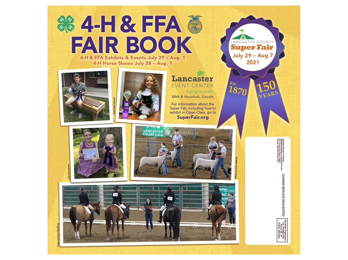 FairBook21 cover thumbnail for enewsletter.jpg