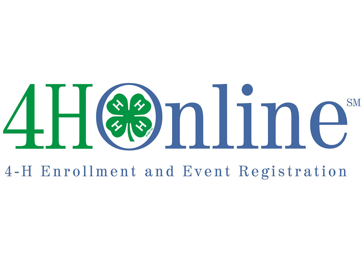 4HOnline for e-newsletter.jpg