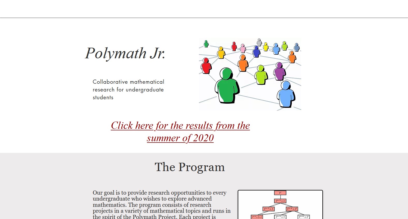 The Polymath REU Program