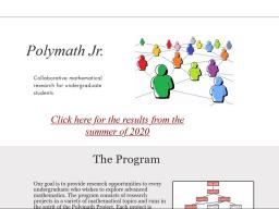 The Polymath REU Program