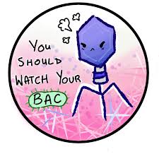 You Should Watch Your BAC!