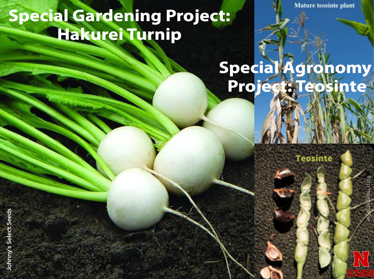 Special Garden & Agronomy 2021.jpg