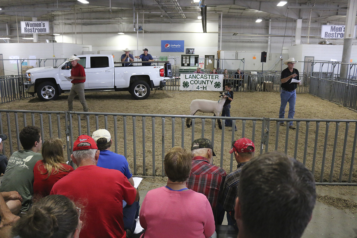 2019 Lancaster County 4-H/FFA Livestock Premium Auction