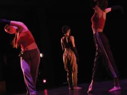 An Evening of Dance will be held with an in-person audience at the Lied Center for Performing Arts on April 28. The concert will also be live webcast at http://liedcenter.org/live.