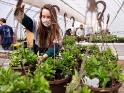 Taylor Cammack moves a finished hanging basket onto the rack so they can be watered during a club work session. Members of the horticulture club prepare plants in the greenhouses on east campus. The plants will be sold at their annual spring sale April 28