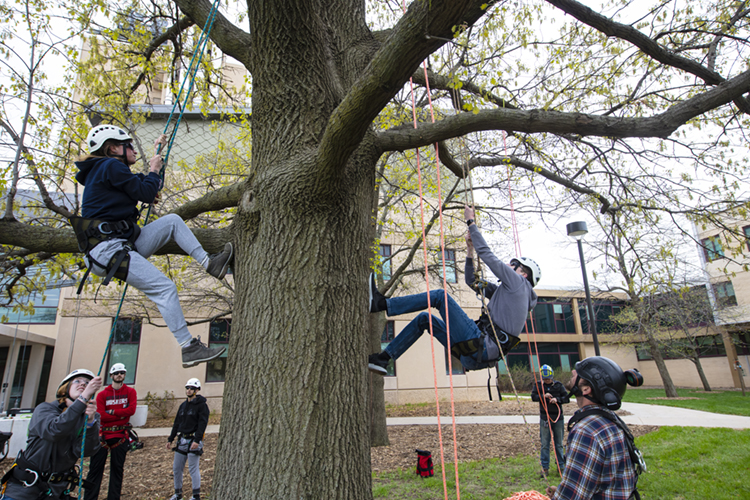 Summer Internship in Urban Forestry with Central Community College