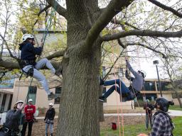 Summer Internship in Urban Forestry with Central Community College