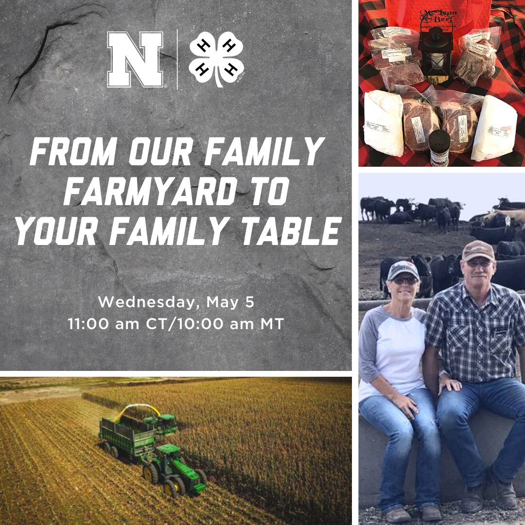 NE4H-VFT-Family-Farmyard.png