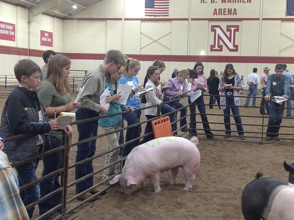 Lancaster County 4-H youth at 2019 PASE Livestock Judging Contest