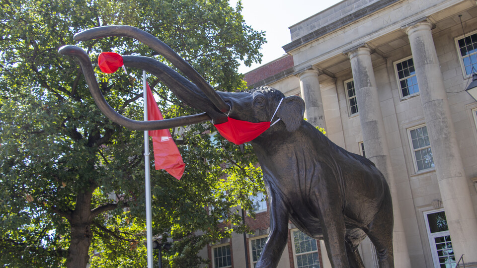 Beginning May 18, Morrill Hall will be open to the public from 9 a.m. to 5 p.m. Tuesday through Saturday and noon to 5 p.m. Sunday.  [Craig Chandler | University Communication]