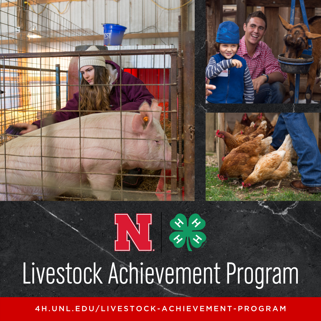 NE4H-Livestock-Achievement-Program.png