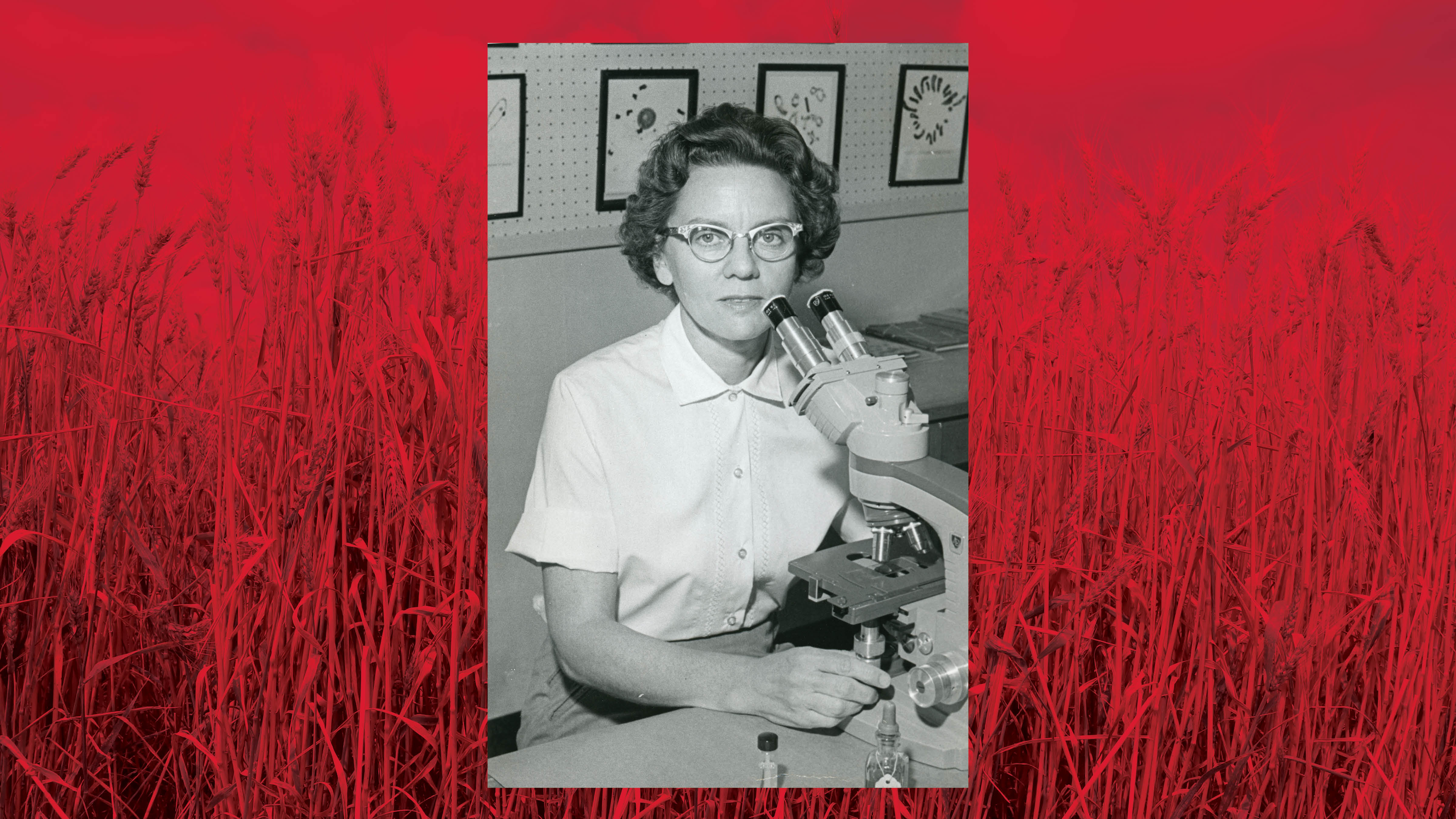 M. Rosalind Morris | Photo courtesy of UNL Archives & Special Collections