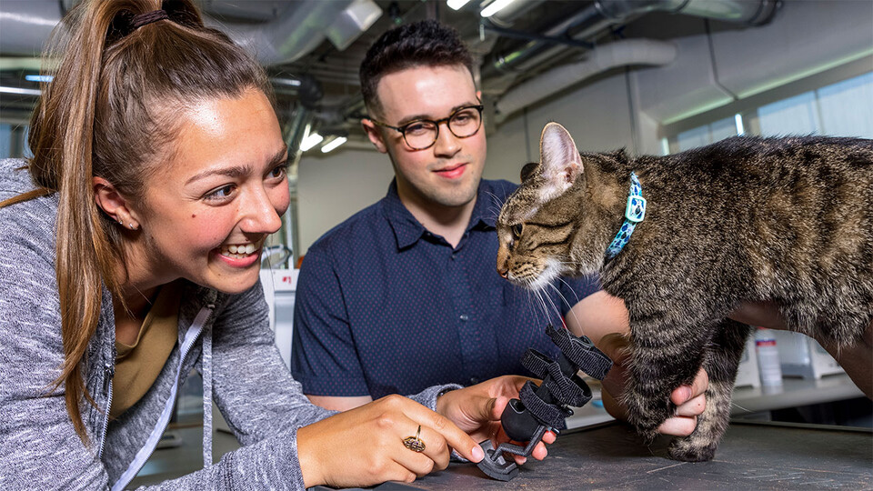 Recent Husker graduate Abby Smith (left) holds a prosthetic prototype that she and senior Harrison Grasso (center) helped develop for Olive (right), who is missing part of her left foreleg.