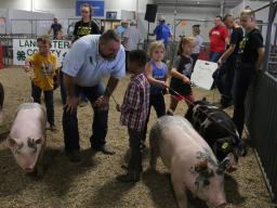 Clover Kids Showmanship at the 2019 Lancaster County Super Fair 4-H/FFA Swine Show