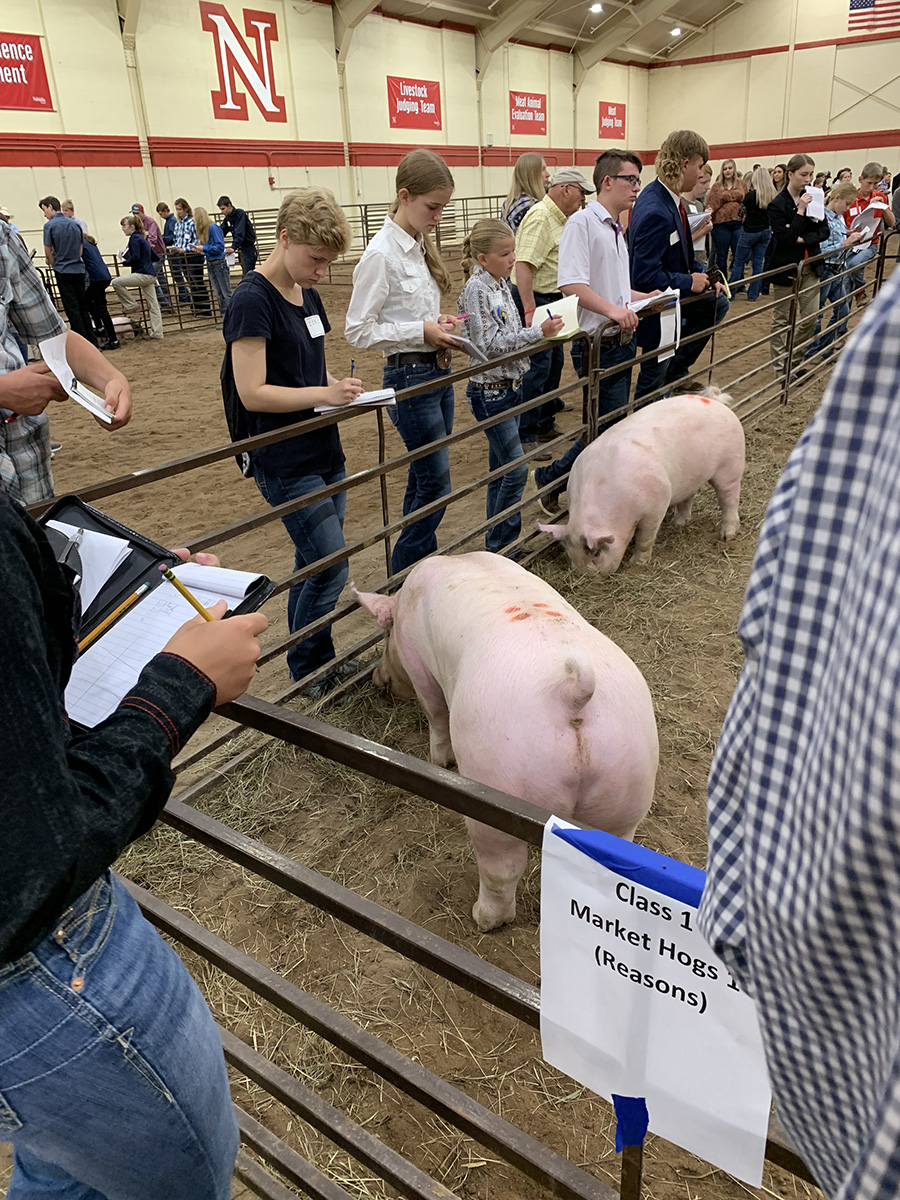 Livestock Judging at 2021 Premier Animal Science Event