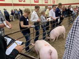 Livestock Judging at 2021 Premier Animal Science Event