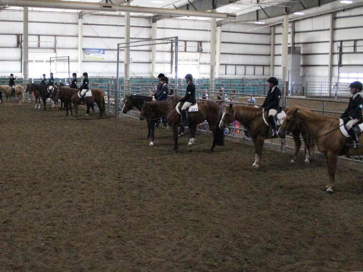The 4-H Horse District Show in Lincoln, June 2021.