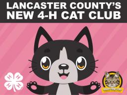Cat Club Flyer 21 graphic only.jpg