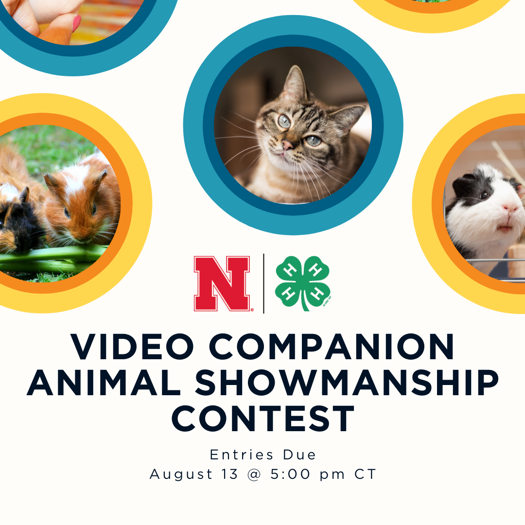 NE4H-Video-Companion-Animal-Showmanship_2021.png