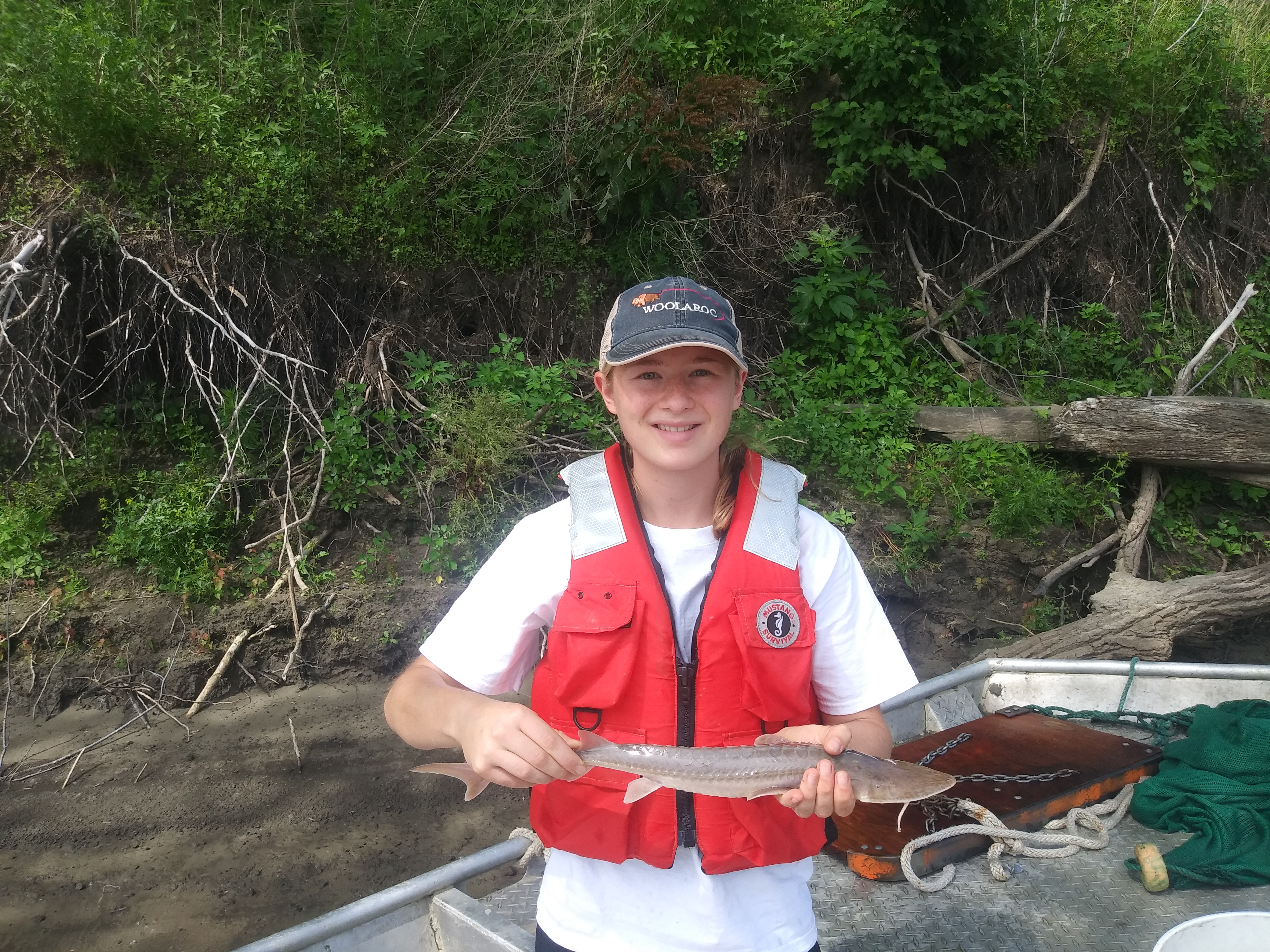Ella Humphrey, a rising senior at Westside High School in Omaha, took part in an eight-week fisheries internship with University of Nebraska faculty after successfully applying to be part of the nationwide Hutton Junior Fisheries Biology Program. 