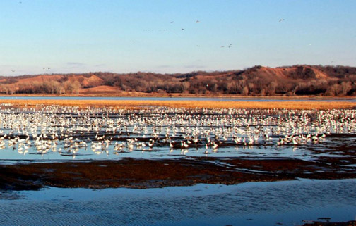 Squaw Creek National Wildlife Refuge/courtesy photo