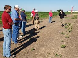 Trey Stephens, agronomy master’s student, discusses a project of interaction of planting green and pre-emergence herbicides on weed control in soybean.