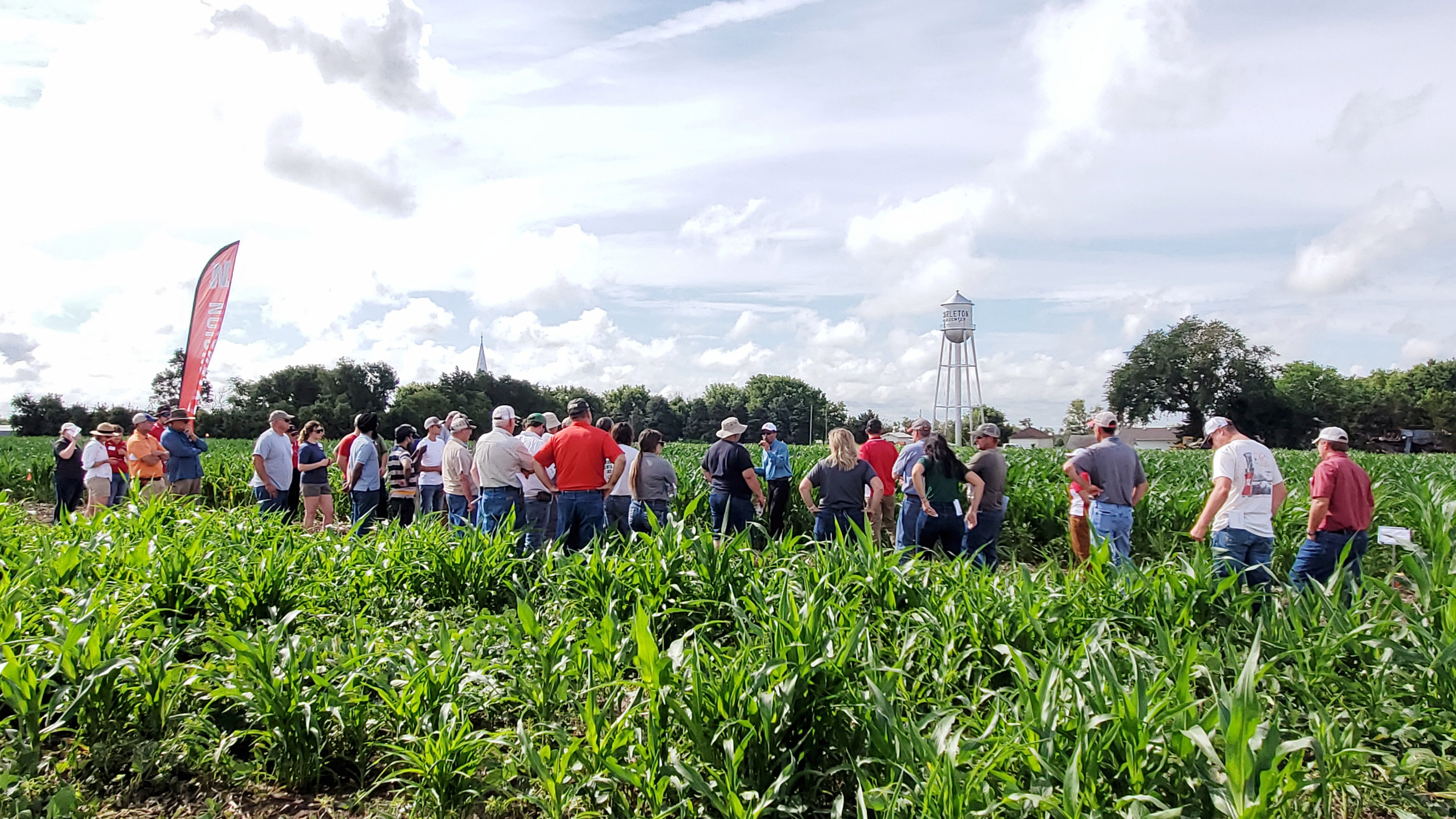 2021 Herbicide-resistant Palmer Amaranth Management Field Day Featured ...