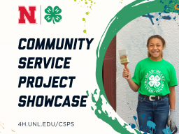 NE4H-Community-Service-Project-Showcase_paint.png