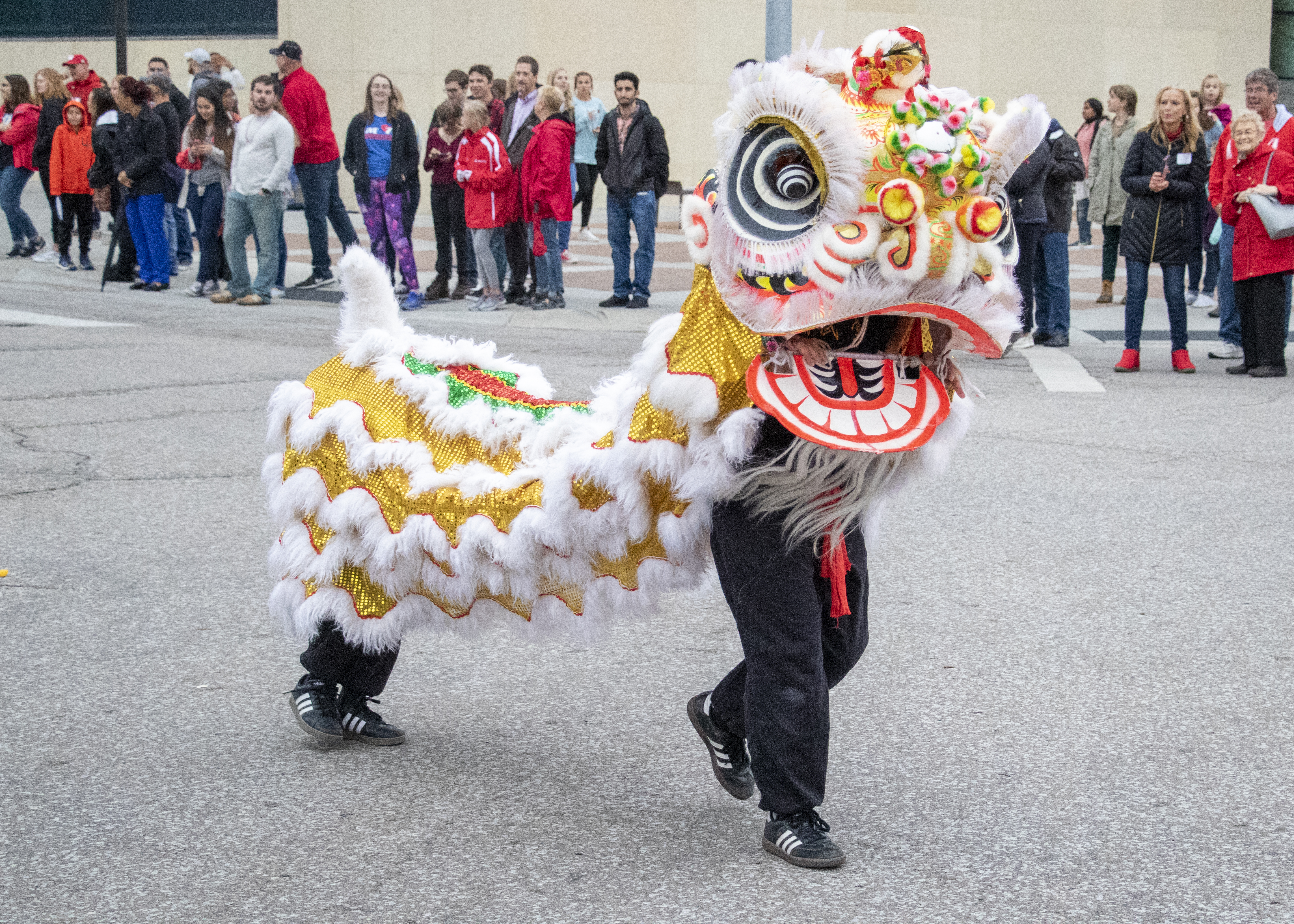 Dragon dancers entertain parade enthusiasts at the 2019 Homecoming Parade.