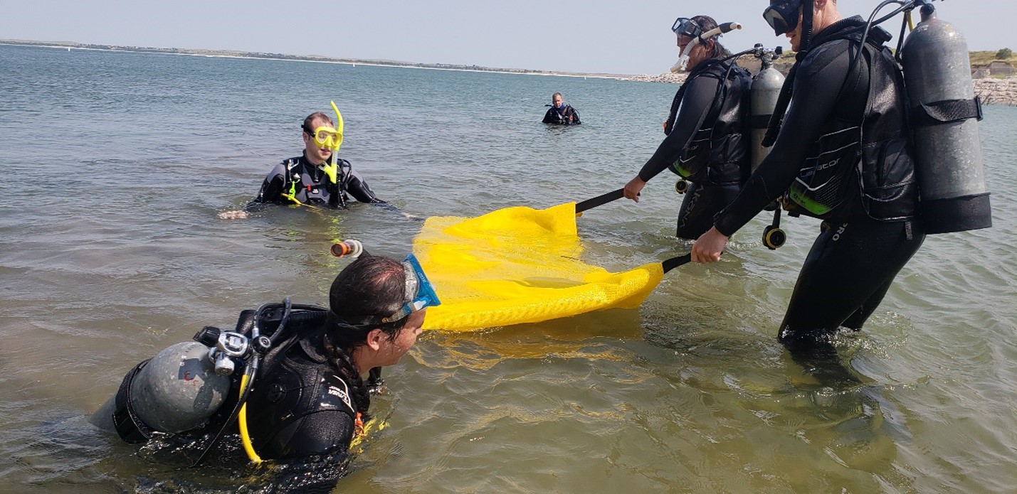 Lake McConaughy is cold and murky – almost zero visibility; students from Anthropology and Forensic Sciences are scouring the bottom looking for a mannequin to test their skills in underwater forensic investigation and recovery as part of an advanced fiel