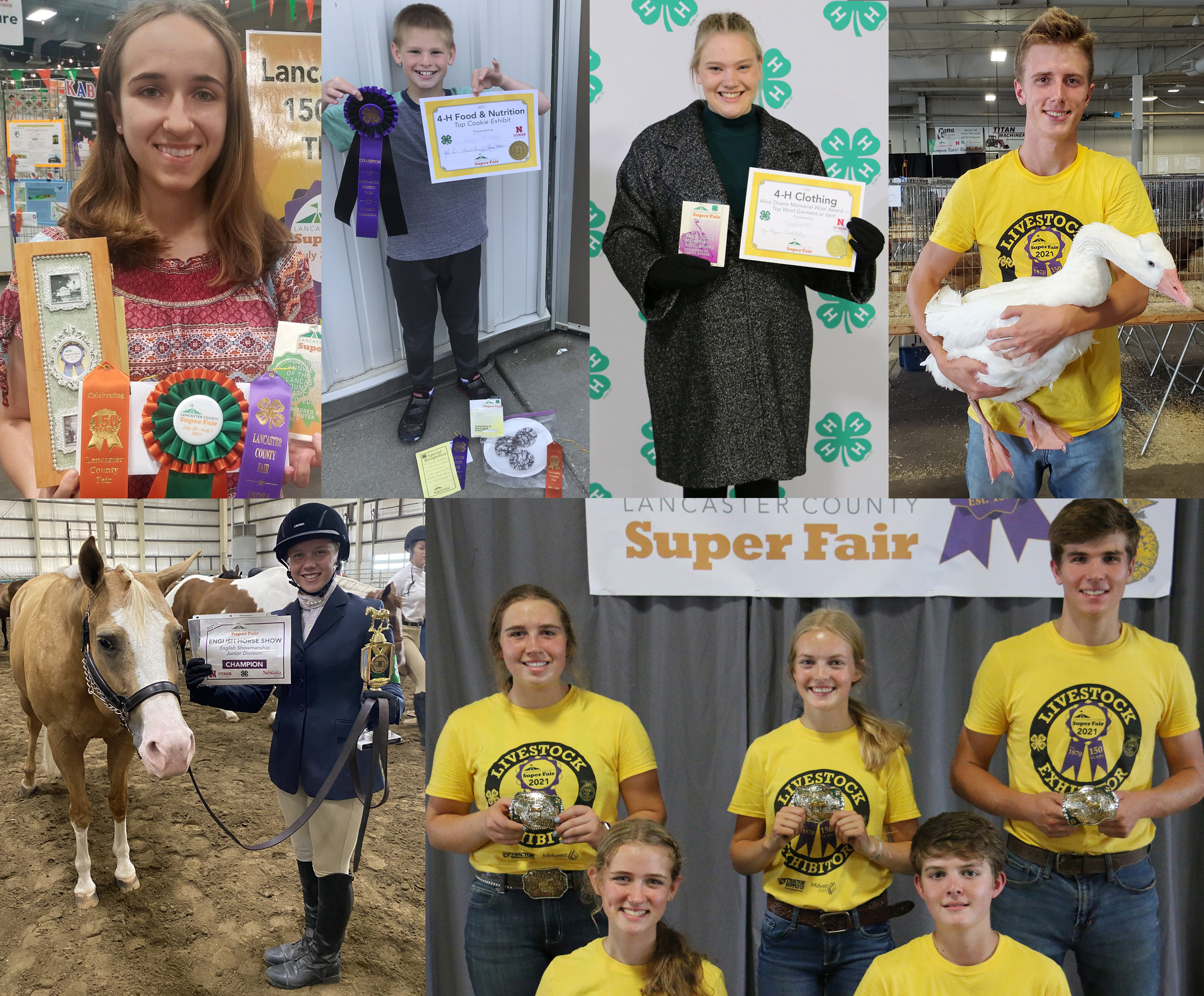 Clockwise from top left: Champion 150th Anniversary Exhibit, Top Cookies Exhibit,  Alice Doane Memorial Wool Award, Best of 4-H Poultry Show, Elite Showmanship Contest and Horse English Showmanship Junior champion.
