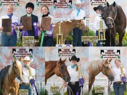 Upper left: Champion judging team (one youth not pictured). (Photos ©2021 Faye Zmek Photography)