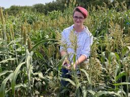 Ryleigh Grove, a North Star High School senior, measures leaf angles of sorghum for research project in the Schnable Lab as part of Young Nebraska Scientists summer program.  James Schnable | Agronomy and Horticulture 