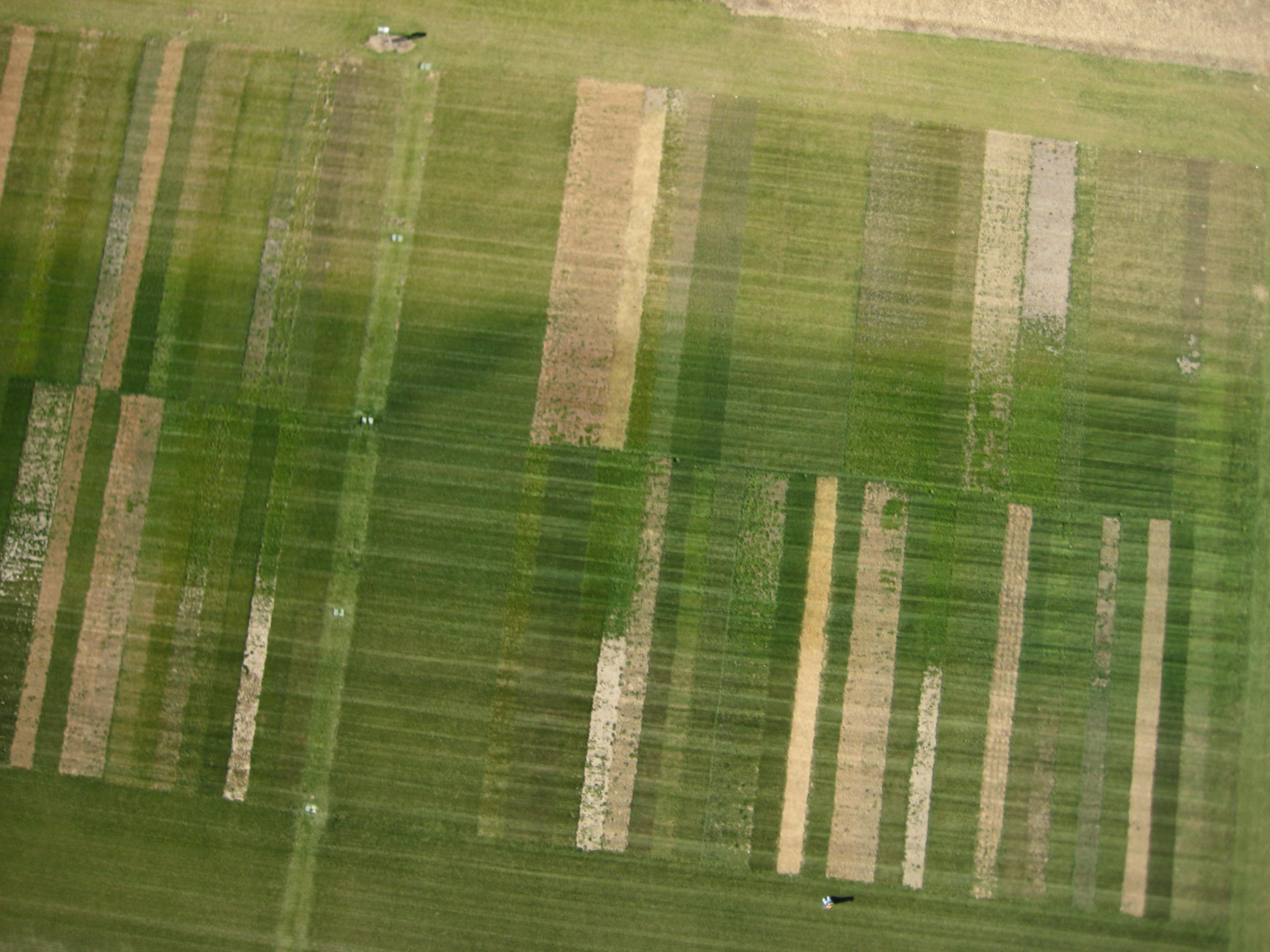 A robotic helicopter provides aerial images of fields that help scientists conduct crops research.